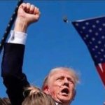 Trump meme