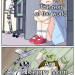 The Mitchells vs The Machines reference | Evil robots; The rest of the world; An angry Mom | image tagged in shrek killing terminator,robots,evil,angry woman,movie humor,oh wow are you actually reading these tags | made w/ Imgflip meme maker