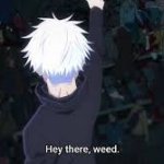 Hey there weed