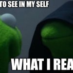 kermet | WHAT I WANT TO SEE IN MY SELF; WHAT I REALLY SEE | image tagged in memes,evil kermit | made w/ Imgflip meme maker