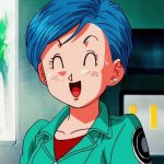 bulma