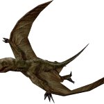 Dimorphodon (FMM UV-32)