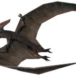 Pteranodon (FMM UV-32)