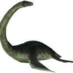 Plesiosaurus (FMM UV-32)