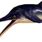 Ichthyosaurus (FMM UV-32)