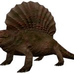 Dimetrodon (FMM UV-32)