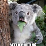 #relatable | ME EATING THE BABY; AFTER PUTTING THE PIZZA TO BED | image tagged in memes,surprised koala,food,pizza,baby,relatable | made w/ Imgflip meme maker