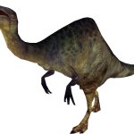 Deinocheirus (FMM UV-32)