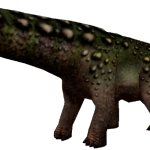 Magyarosaurus (FMM UV-32)