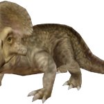 Protoceratops (FMM UV-32)