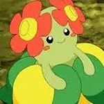 Bellossom meme