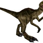 Allosaurus 2 (FMM UV-32)