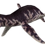 Liopleurodon (FMM UV-32)