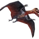 Pterodactylus (FMM UV-32)