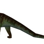 Male Spinophorosaurus (FMM UV-32)