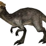 Female Stegoceras (FMM UV-32)