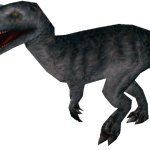 Male Sarcosaurus (FMM UV-32)