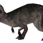 Female Sarcosaurus (FMM UV-32)