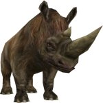 Woolly Rhinoceros (FMM UV-32)