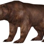 Cave Bear (FMM UV-32)