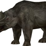 Arsinotherium (FMM UV-32)