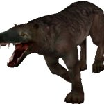 Hyaenodon (FMM UV-32)