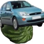 FocusMelon (no backround)