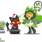 If only we have a Microwave that can heat the food, that would be great. | The Plate; The Food; The Microwave | image tagged in memes,funny,microwave,plate,food | made w/ Imgflip meme maker