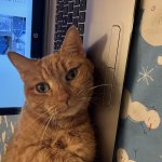 Diego