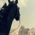 Afghan horse GIF Template