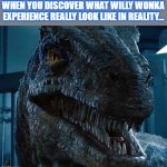 Angry Blue the Velociraptor | WHEN YOU DISCOVER WHAT WILLY WONKA EXPERIENCE REALLY LOOK LIKE IN REALITY... | image tagged in blue disapproves,willy wonka,charlie and the chocolate factory,jurassic world,angry | made w/ Imgflip meme maker