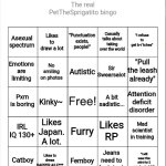 The real petthesprigstito bingo
