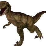 Utahraptor (FMM UV-32)