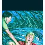 Hardy Boys template