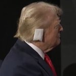 trump ear