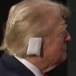 trump ear