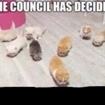 The council has decided