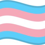 Trans flag