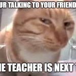 gotta do it stealthily | WHEN YOUR TALKING TO YOUR FRIEND IN CLASS; AND THE TEACHER IS NEXT TO YOU | image tagged in side eye cat,stealth,teacher | made w/ Imgflip meme maker