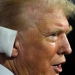 Trump Ear Bandage