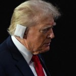 Trump bandage