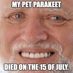 She never needed to die, but it was God's plan | MY PET PARAKEET; DIED ON THE 15 OF JULY. | image tagged in hide the pain harold,dead,death,sad,pets | made w/ Imgflip meme maker