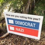 How are you Voting?  Democrat or Nazi?