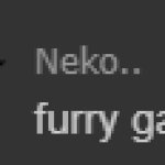 Neko furry gay se