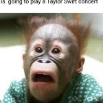 This happened in the school that I recently graduated from senior high 2 months ago | When you found out that your school is  going to play a Taylor Swift concert | image tagged in shocked monkey,memes,taylor swift,school,so true,accurate | made w/ Imgflip meme maker