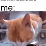 uh oh | scientist: where did those chocolate chips that turn humans into cats go? me: | image tagged in memes | made w/ Imgflip video-to-gif maker