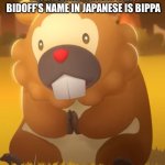 Bippa | FRIENDLY REMINDER THAT BIDOFF’S NAME IN JAPANESE IS BIPPA | image tagged in master bidoogway | made w/ Imgflip meme maker