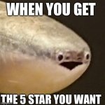 Live sacabambaspis reaction | WHEN YOU GET; THE 5 STAR YOU WANT | image tagged in live sacabambaspis reaction | made w/ Imgflip meme maker