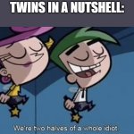 Meme | TWINS IN A NUTSHELL: | image tagged in we're two halves of a whole idiot | made w/ Imgflip meme maker