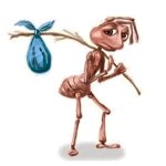 Sad Ant Carrying Bundle